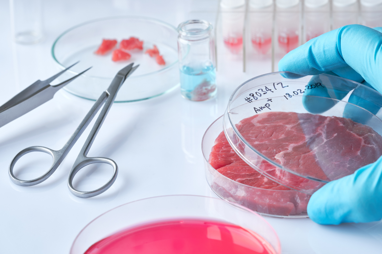 Carne de Laboratorio