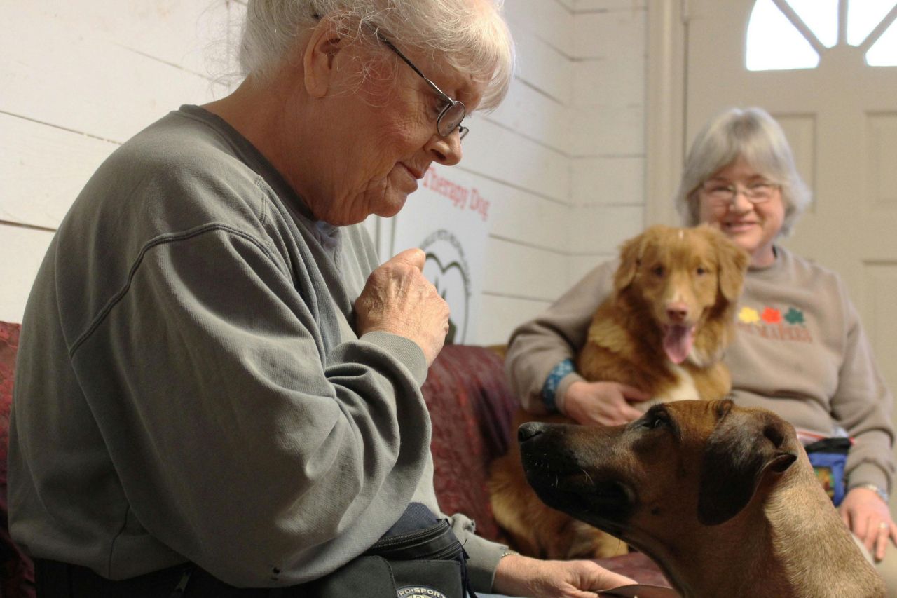 Los adultos mayores son los que más aprecian la compañía de las mascotas pues la mayoría viven solos o lejos de sus hijos lo que causa una sensación de soledad.