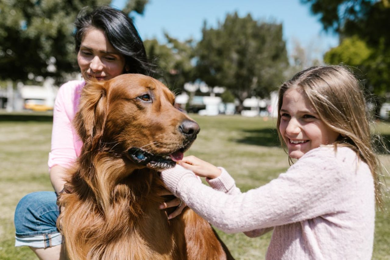 La mayoría de los jóvenes en la actualidad inician su hogar con al menos una mascota.