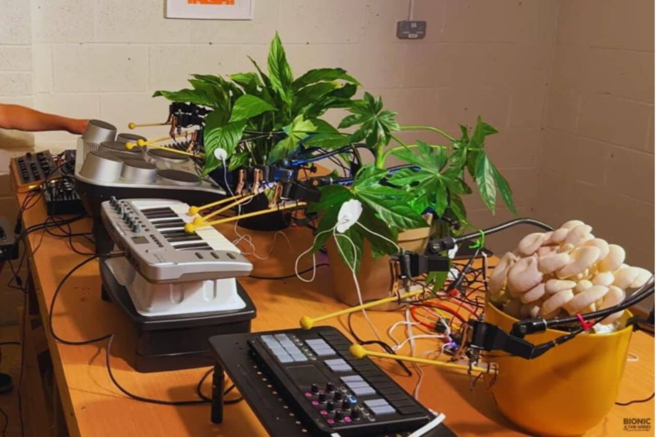 científicos hacen plantas musicales